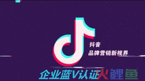 抖音小店是不是蓝v？怎么认证？