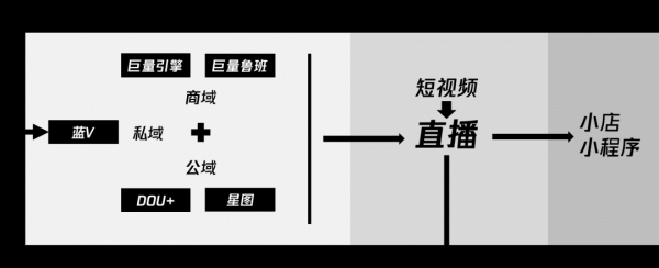 卡思数据：谁，才能成为抖音直播的顶梁柱？ 