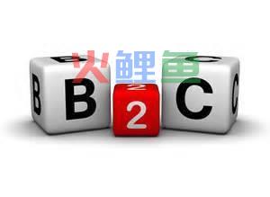 指导b2c网站开发定制策略