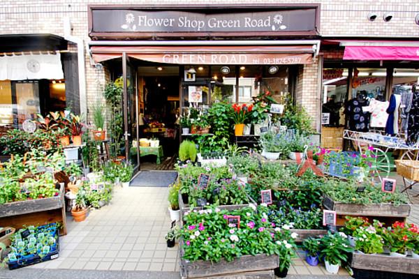 花店名叫“汉阳丁香”的花店讲解送花禁忌
