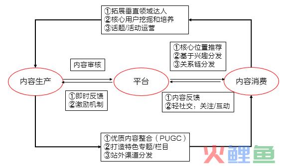 聊聊不同类型产品的UGC运营玩法