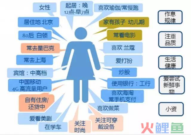 干货 | 数据分析之用户画像方法与实践