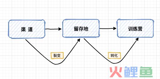 从0到1裂变解析，真金白银烧出来的故事与经验。