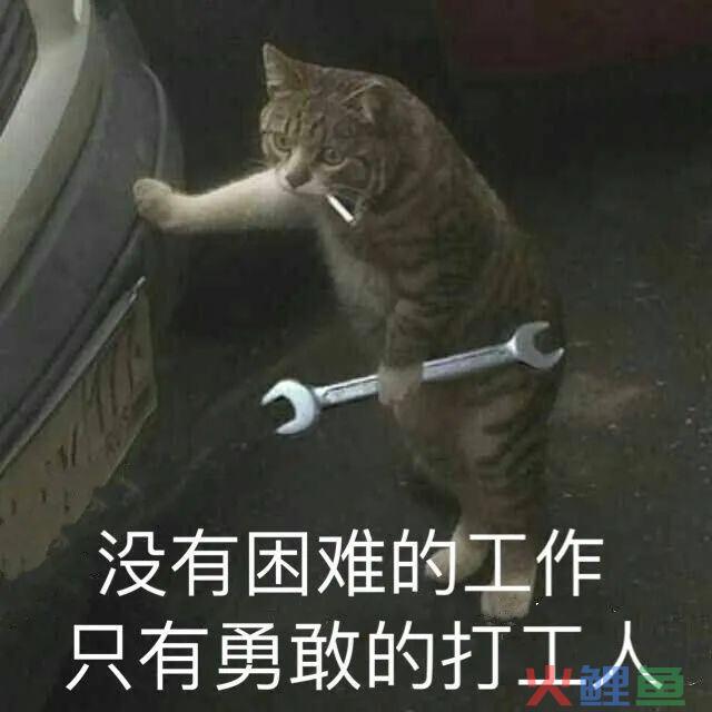 641.jpg