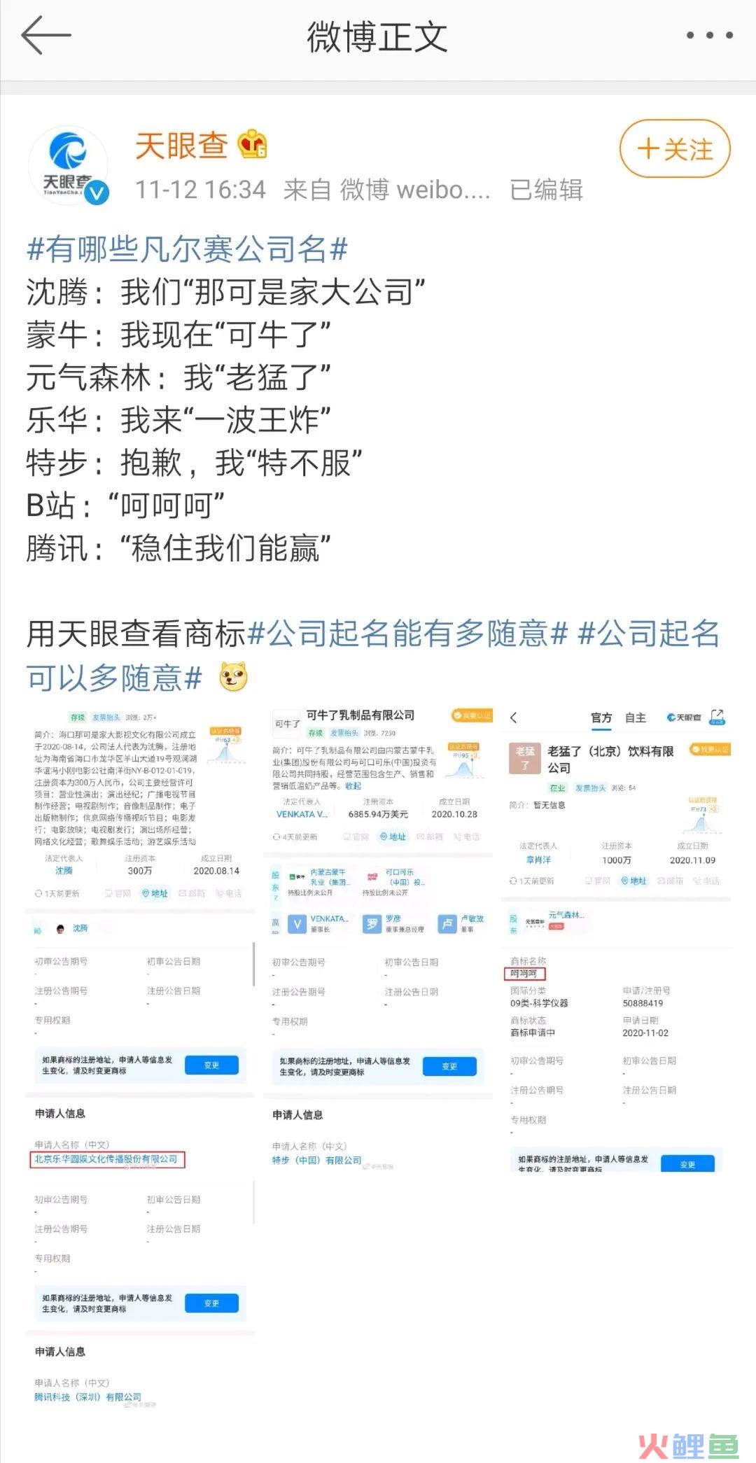 B站“呵呵呵”，腾讯“长鹅”，这届品牌的商标名有多好笑？