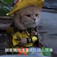 “女朋友每次喝饮品必点喜茶，该不该分手？”
