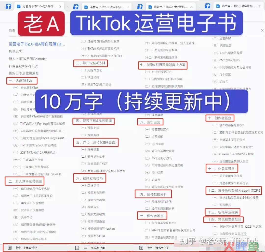 TikTok的10种私域引流变现方式！私域引流最终变现流程 