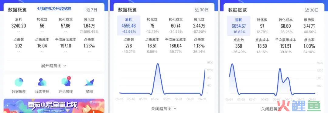 转化率21.66%，一条视频扛起了整个账户！