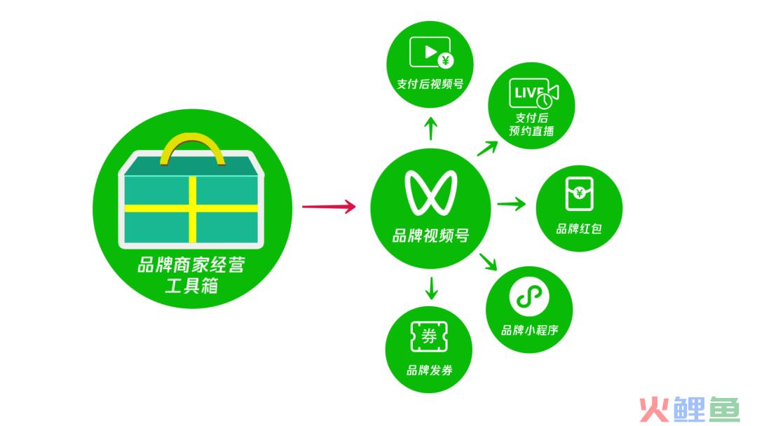 打通微信支付，品牌视频号升级！