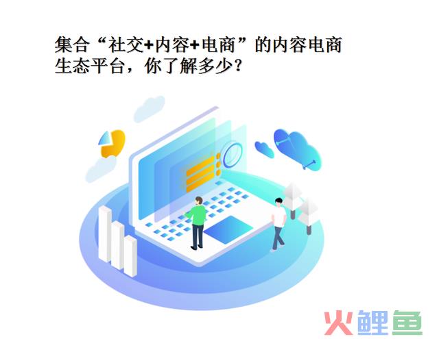 集合“社交+内容+电商”的内容电商生态平台你了解多少？ 