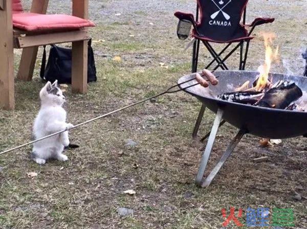 社群营销是什么?在哪里玩?怎么玩?