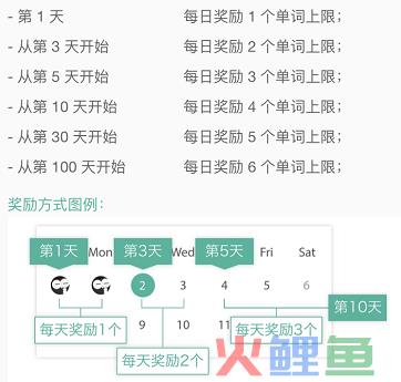 墨墨背单词中的用户参与创新