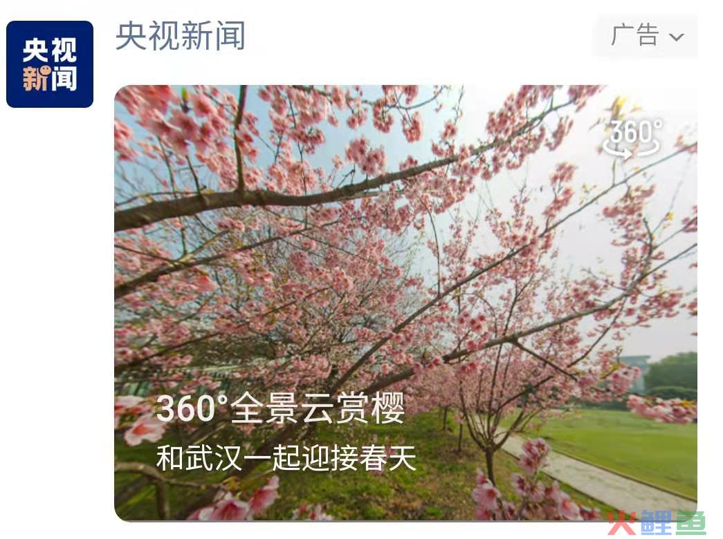 微信朋友圈广告分析
