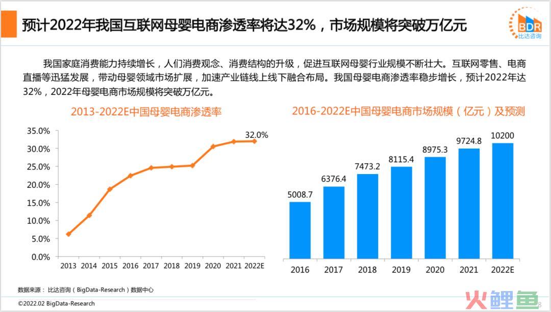 2021年度中国互联网母婴市场研究报告