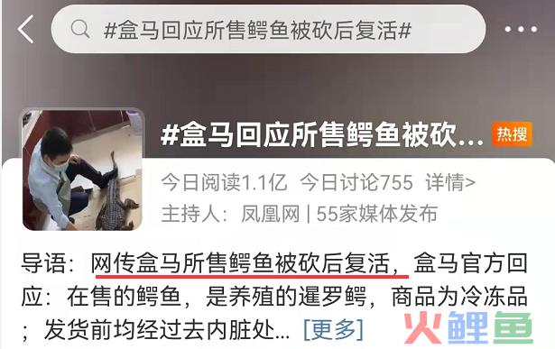 鳄鱼被砍复活?盒马可太冤了!
