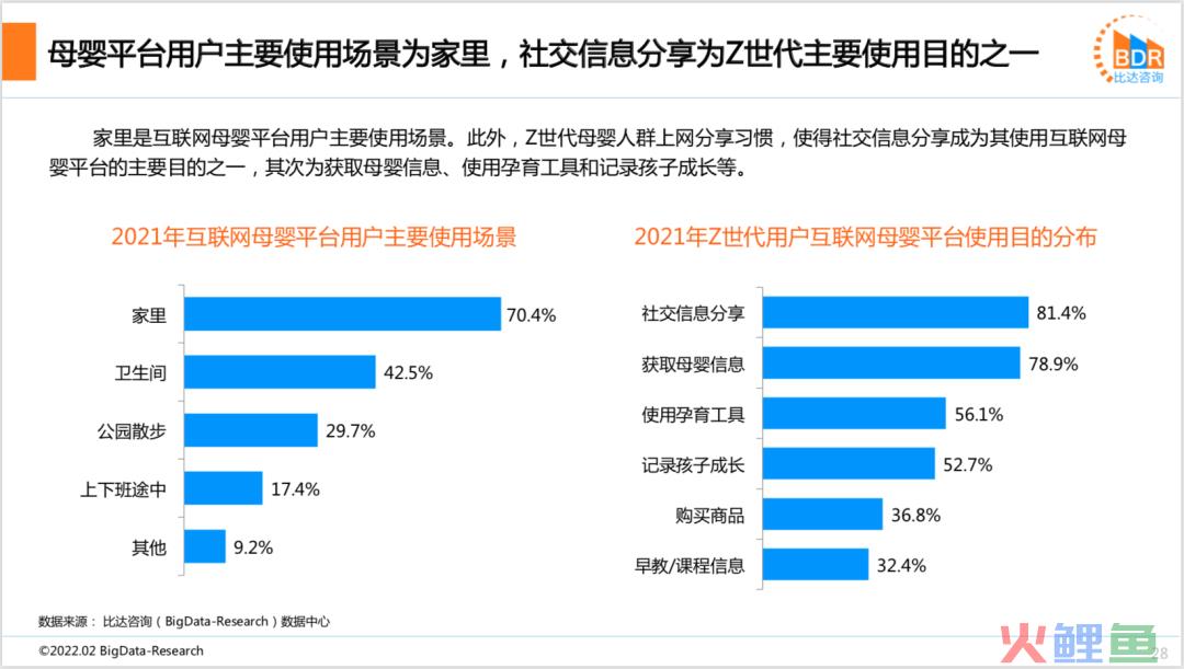 2021年度中国互联网母婴市场研究报告