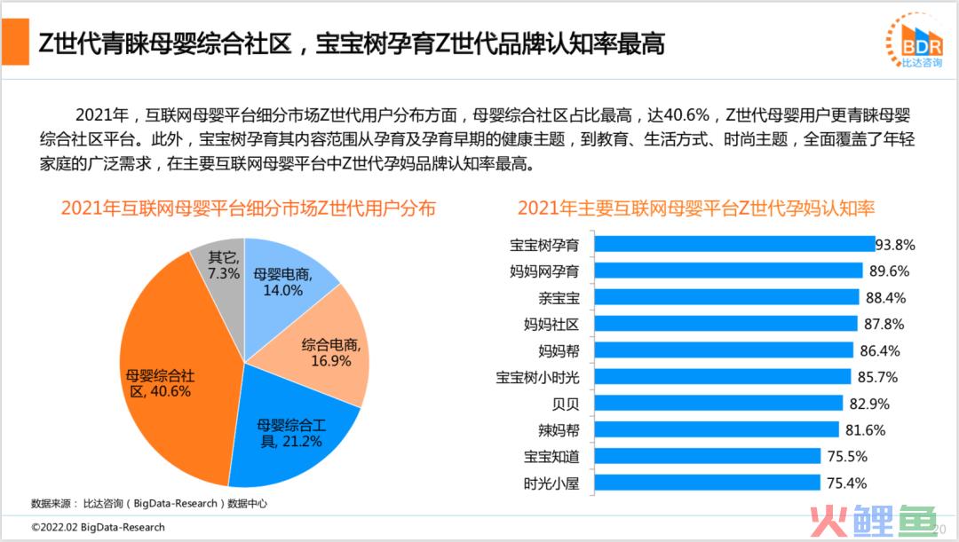 2021年度中国互联网母婴市场研究报告