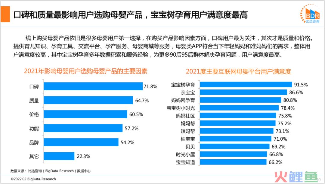 2021年度中国互联网母婴市场研究报告