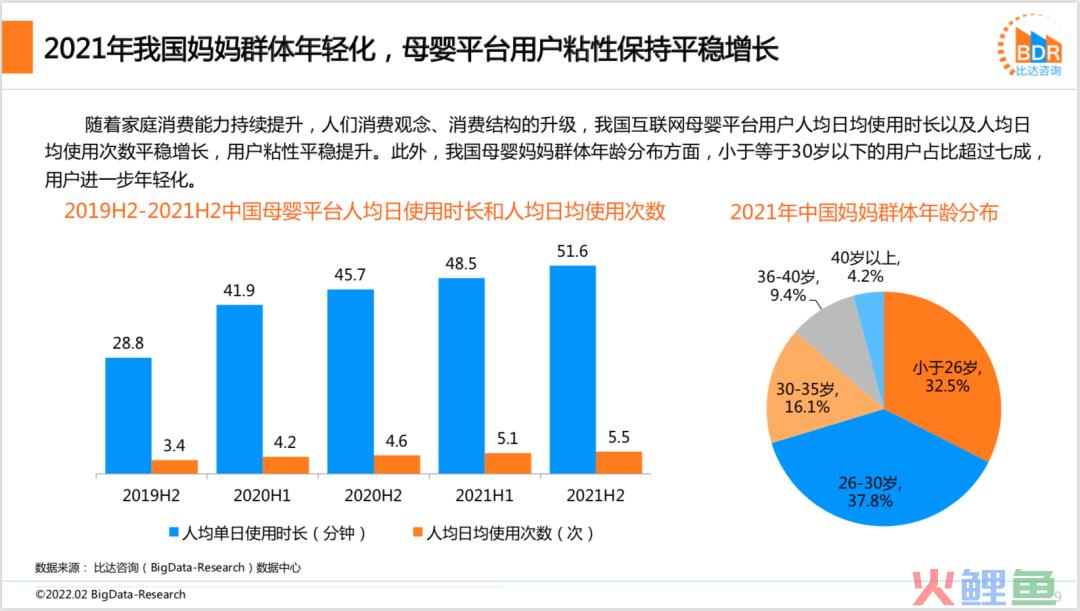 2021年度中国互联网母婴市场研究报告