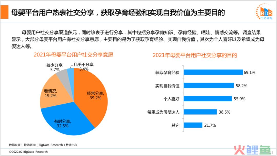 2021年度中国互联网母婴市场研究报告