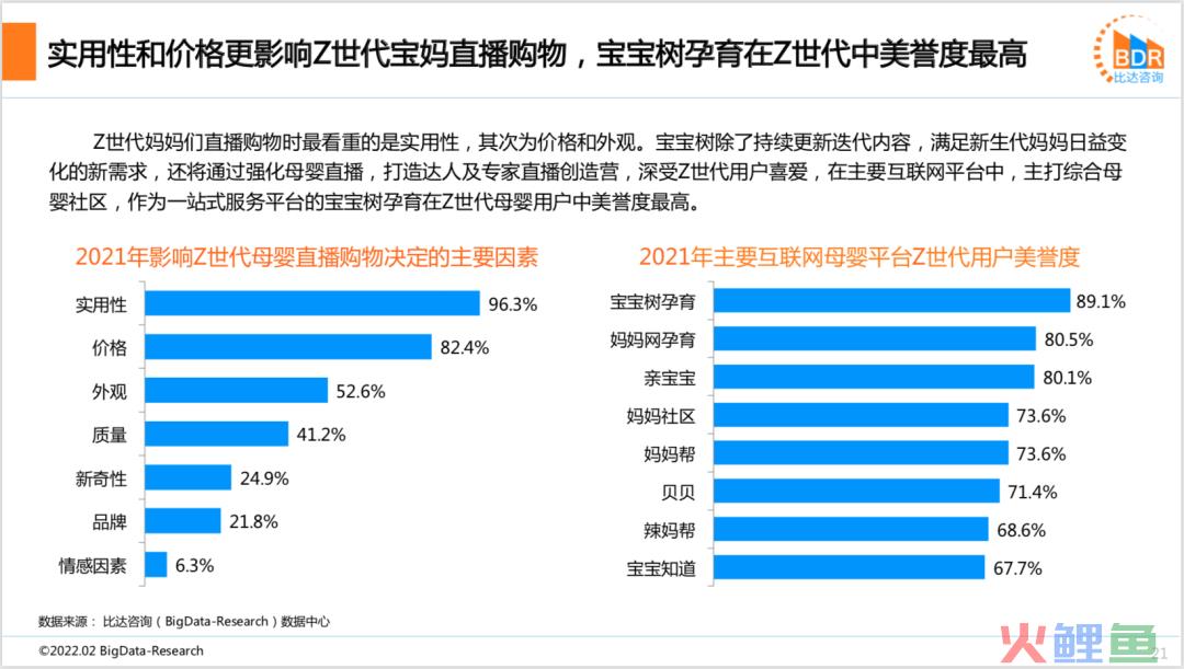 2021年度中国互联网母婴市场研究报告