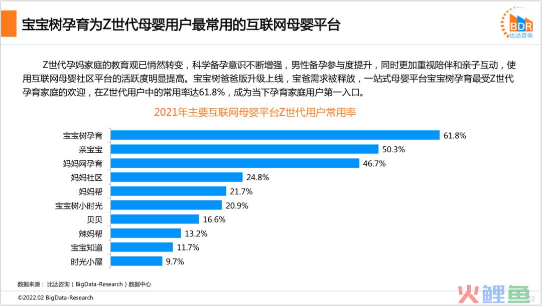 2021年度中国互联网母婴市场研究报告