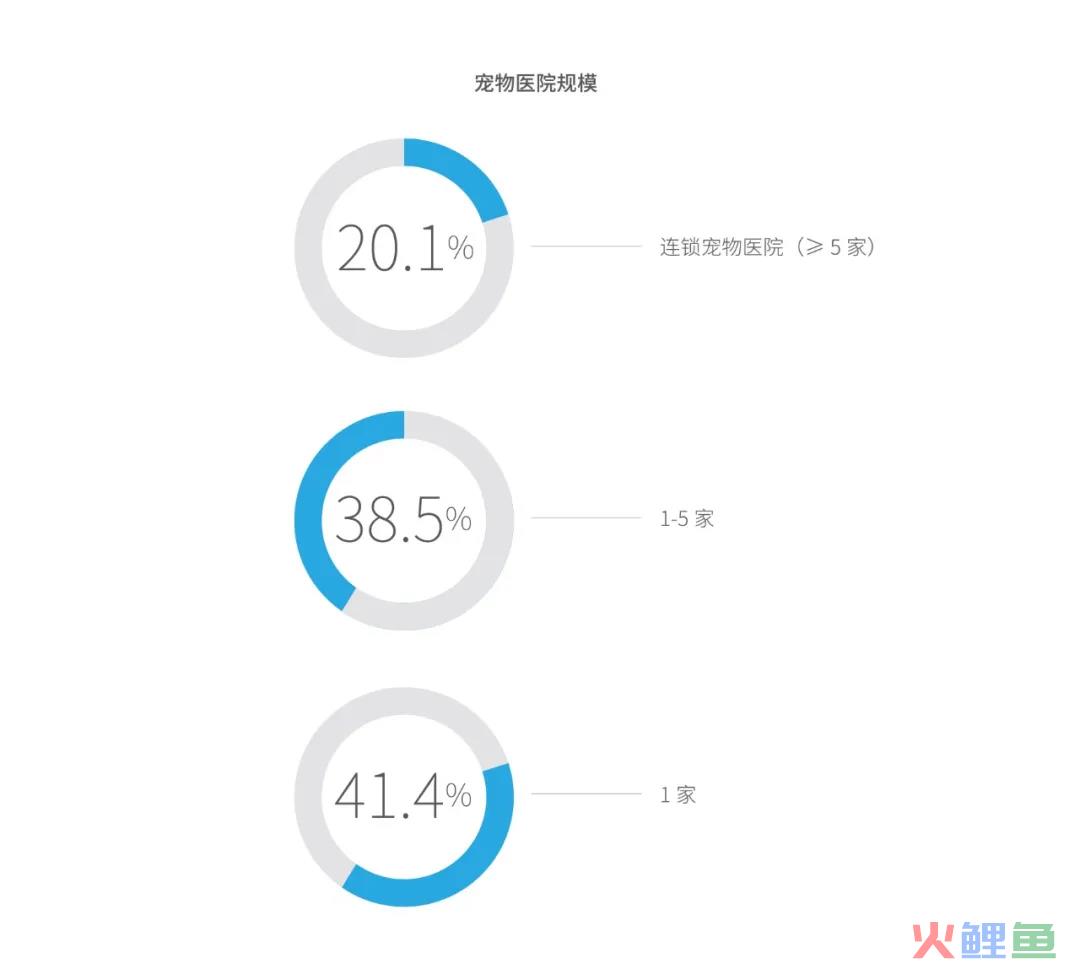 2021 中国宠物医疗行业白皮书发布，这六点趋势值得关注