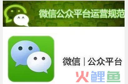 营销洞察力——企业公众号运营策略与分析