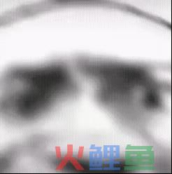 掌握这10款可视化图表，小白也能玩转数据分析