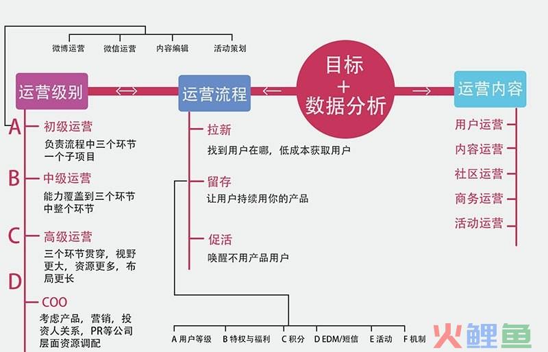 新媒体营销策划方案怎么写？