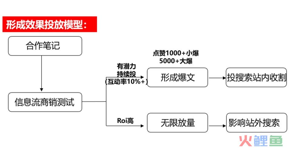 1条笔记超1亿阅读量，拆解IS是否在小红书爆红之路