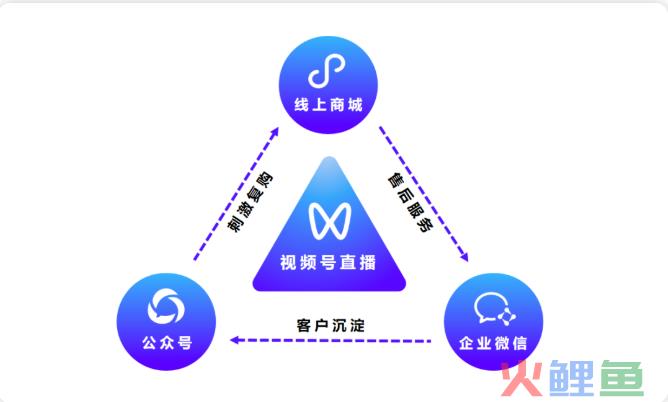 服装品牌如何打造私域直播四力模型，激活品牌增长新势能