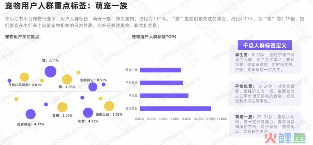 5000字讲透，宠物商家如何在小红书成长？