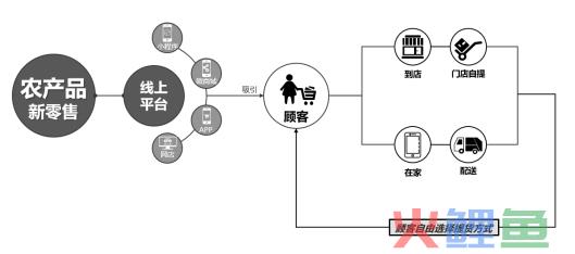 “互联网+”背景下，生鲜电商是如何让供应链转起来的？
