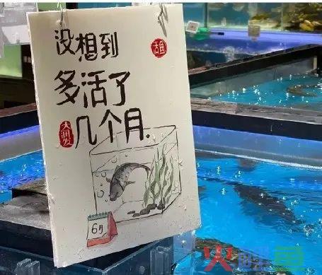 关于毕业季营销，我们的几点洞察与思考