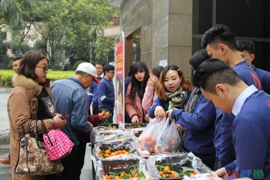 社区团购商业模式解析，揭秘团购千亿市场