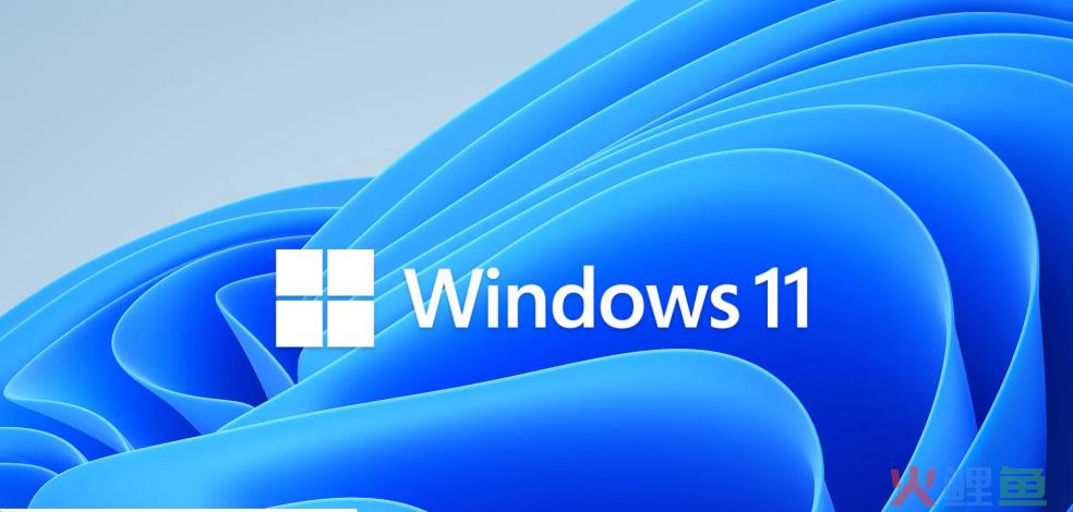 面世一年，Windows 11“静悄悄”？