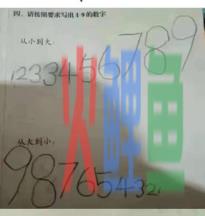 元旦晚会有哪些收获（分享元旦晚会感想）