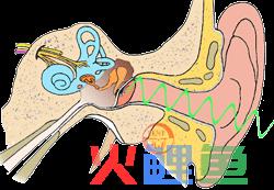 声音在空气中传播的速度为多少（解析声音在固体中传播最快）