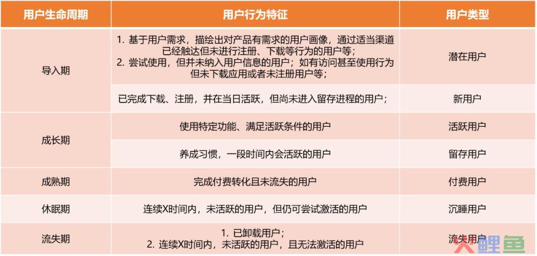 运营策略是什么意思（解析如何去理解与运用运营策略）