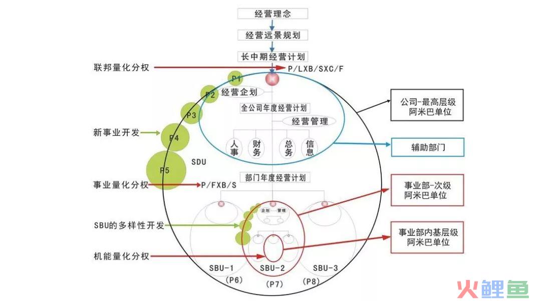 阿米巴经营模式是什么（解析阿米巴经营模式到底是什么）