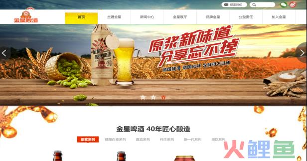 金星啤酒集团搜索引擎营销方案（F6版）