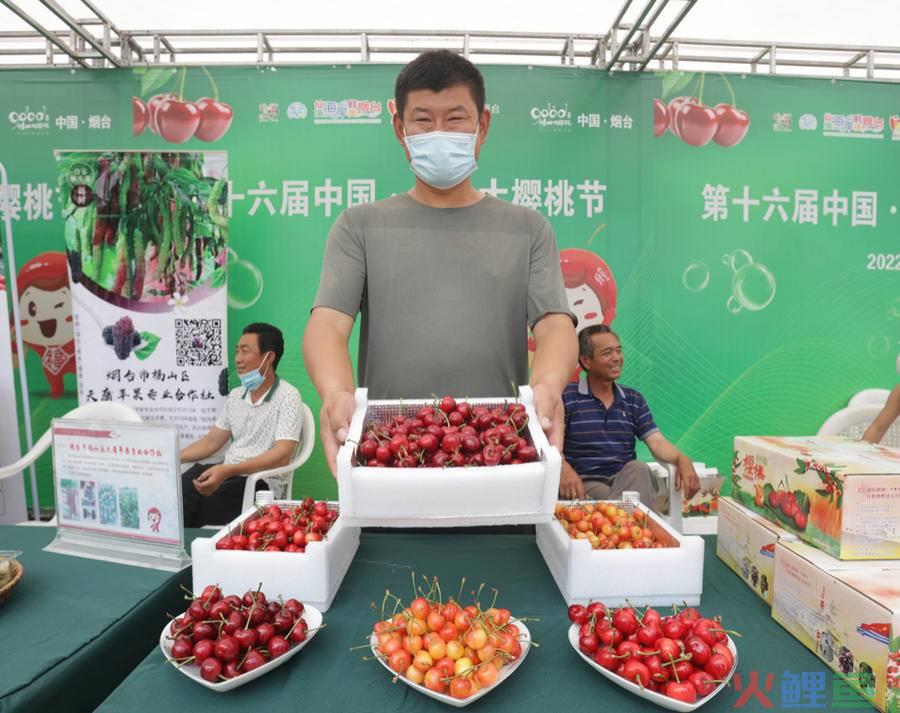 互联网销售可以卖什么（分享互联网花式的销售）