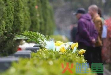 这5个清明节活动方案，让家长陪孩子过一个有意义的清明节小长假