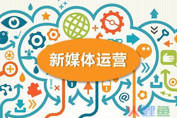 新媒体作品如何做（解析新媒体内容的创作）