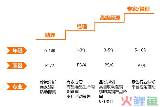 行业运营是做什么的（解读商家运营职业的成长）