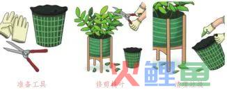 中小学生寒假劳动清单来了,请查收