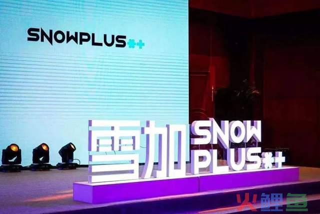 产能配额反常，雪加电子烟被质疑造假？