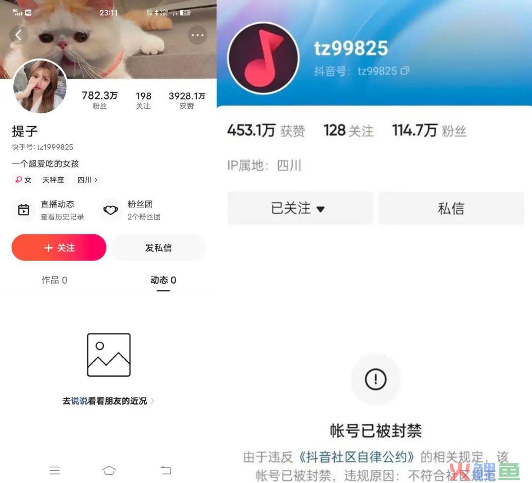 网红吃大白鲨背后，是治不好的流量饥渴症