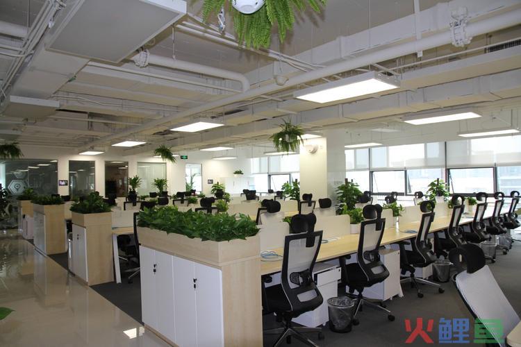 工会春游活动方案怎么写（解读春游活动的方案）